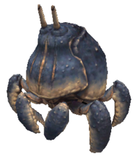 Savanna Crab