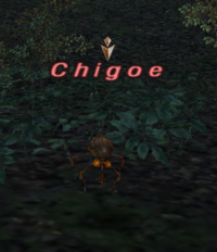 Chigoe
