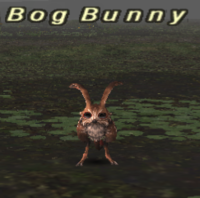 Bog Bunny