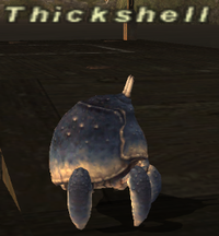 Thickshell