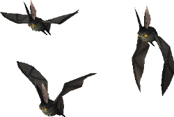Datei:Fetor Bats.png