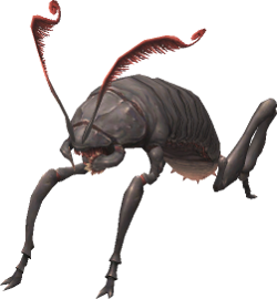 Wamouracampa-Job.png