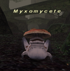 Myxomycete.png