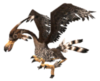 Seaboard Vulture